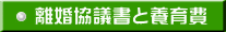離婚協議書と養育費
